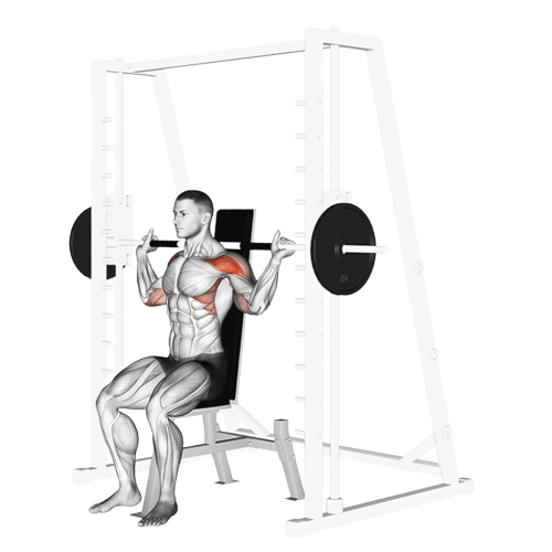 Développé nuque barre guidée