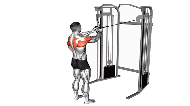 Animation Ecarte inverse deltoide posterieur (Poulie)