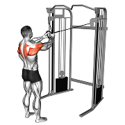 Ecarte inverse deltoide posterieur (Poulie)