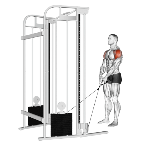 Élévation en Y (Poulie)