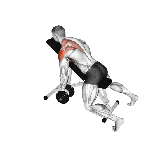 Élévation en Y soutenu unilaterale (Halteres)