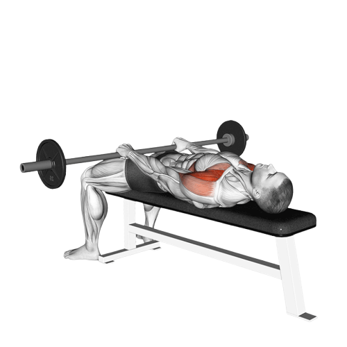 Élévation frontale allongée à la barre