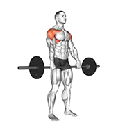 Elevation frontale (Barre)