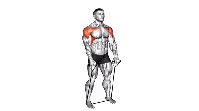 Animation Elevation frontale (Elastique)
