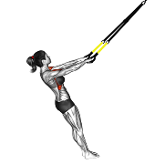 Elevation frontale (Suspension)