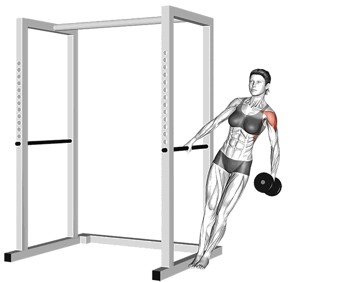 Animation Élévation latérale incliné (Haltères)