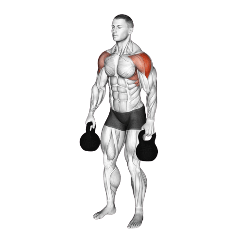 Élévations latérales avec kettlebell