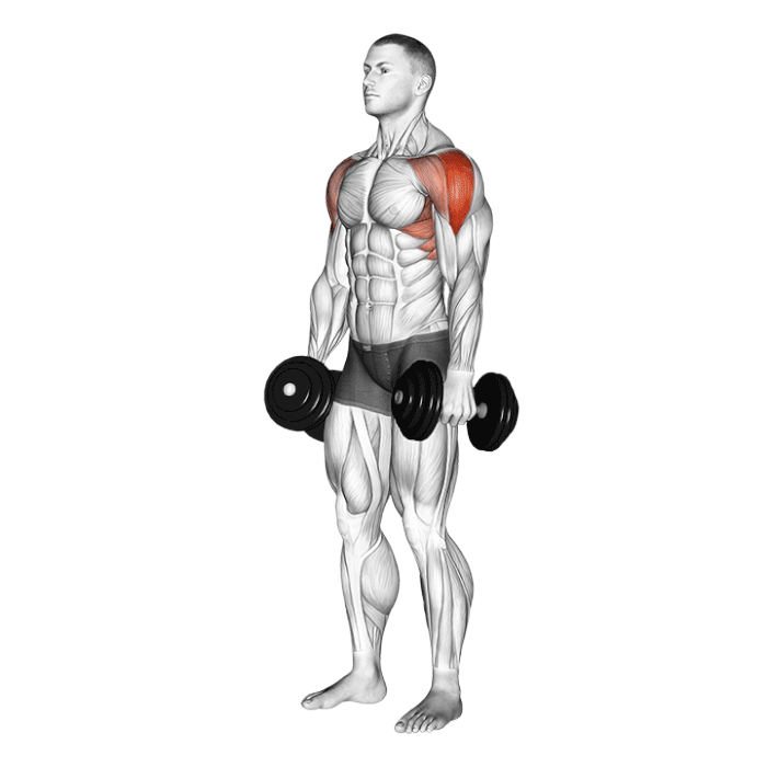 Élévations latérales