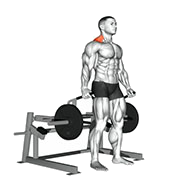 Haussement d'epaules (Machine)