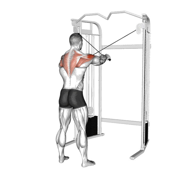 Animation Oiseau à la poulie à 45°