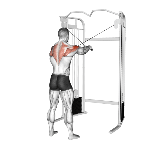 Oiseau à la poulie à 45°