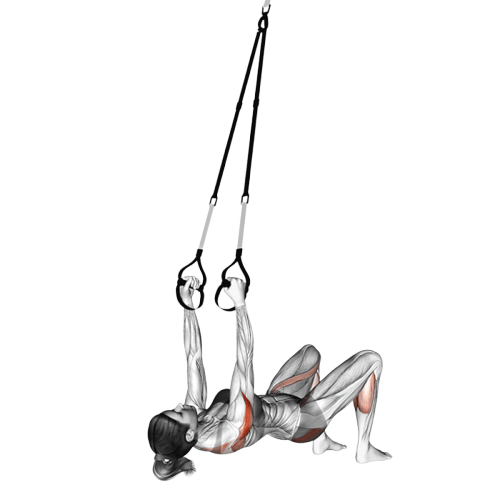 Oiseau inversé avec sangles de suspension