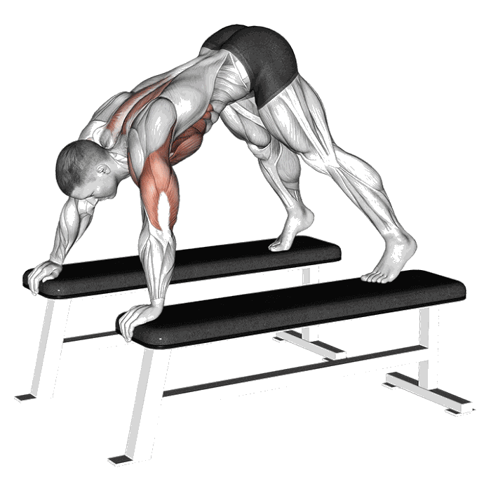 Animation Pompe piquée