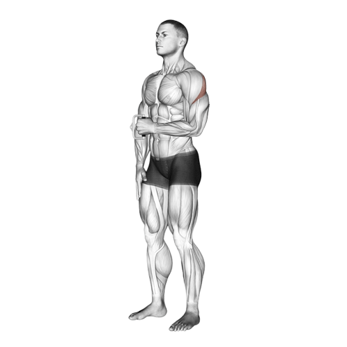 Rotation externe de l'épaule à la poulie