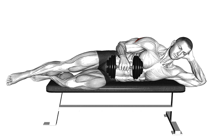 Animation Rotation externe de l'épaule couchée avec haltère