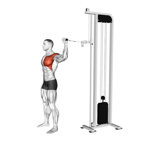 Rotation interne à 90° à la poulie