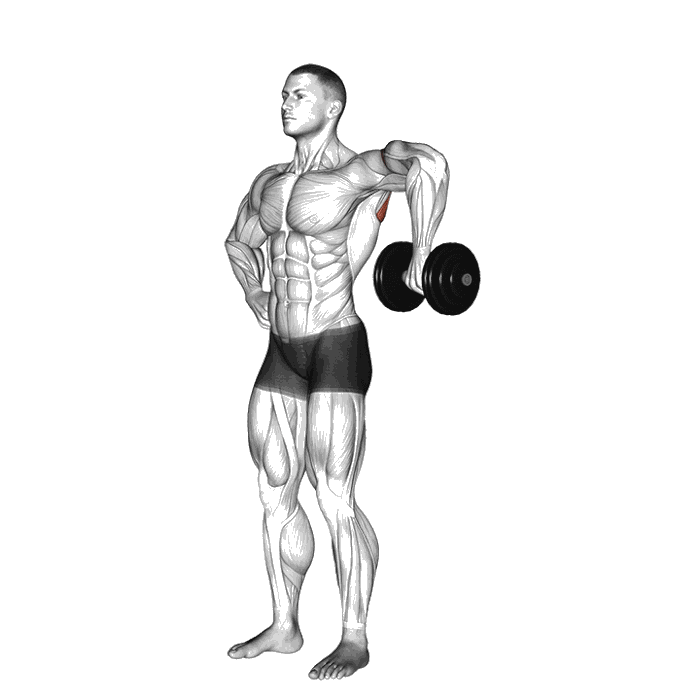 Animation Rotations cubaines