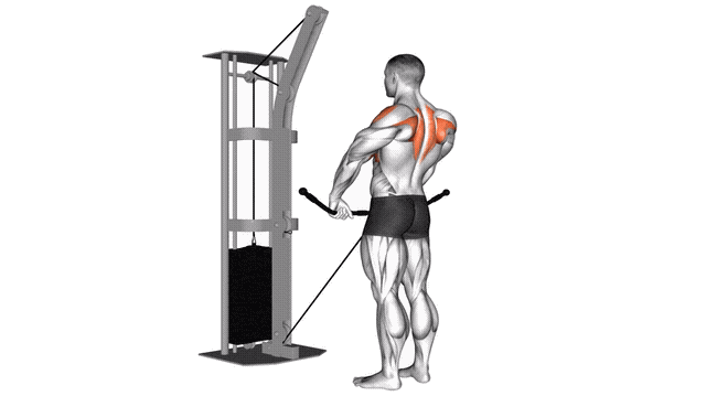 Animation Rowing verticale (Poulie)