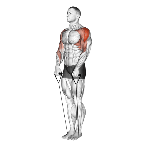 Tirage menton (Élastique)