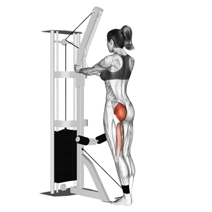 Extension hanche (Poulie)