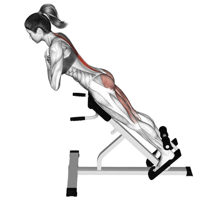 Extension lombaire au banc 45