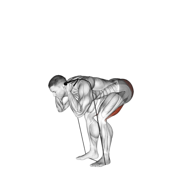 Good morning (Élastique)