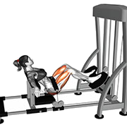 Hip thrust (Machine)