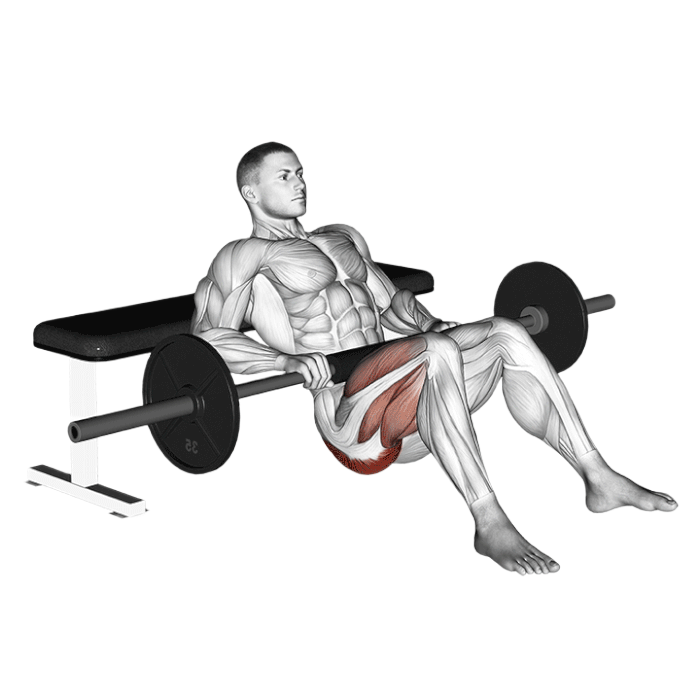 Hip thrust unilatéral (Barre)