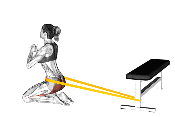 Animation Hip thrusts à genoux (Élastique)