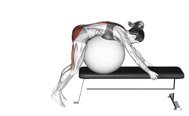 Hyperextension inversée au Swiss ball