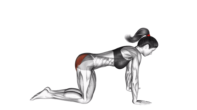 Animation Kickback fessier au sol