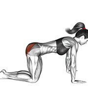 Kickback fessier au sol