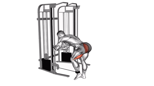 Animation Kickback fessier debout (Poulie)