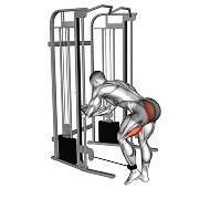 Kickback fessier debout (Poulie)