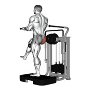 Kickback fessier (Machine)