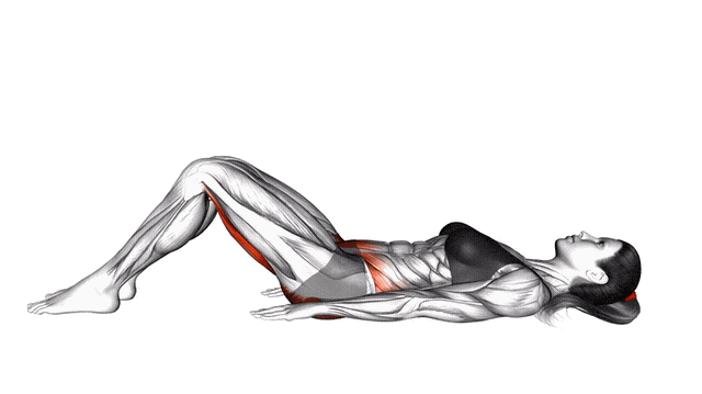 Animation Pont fessier