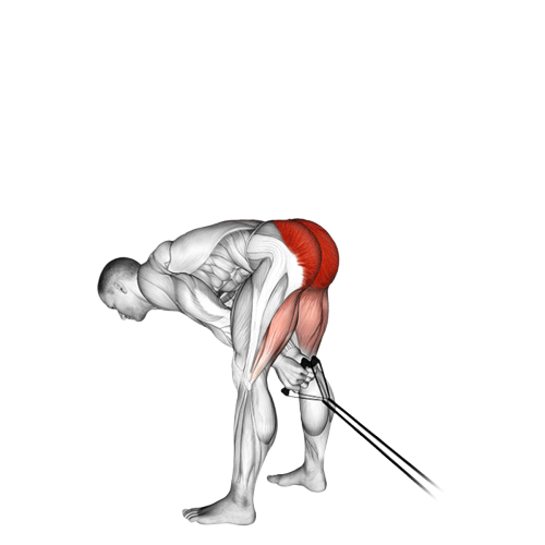 Pull through (Élastique)