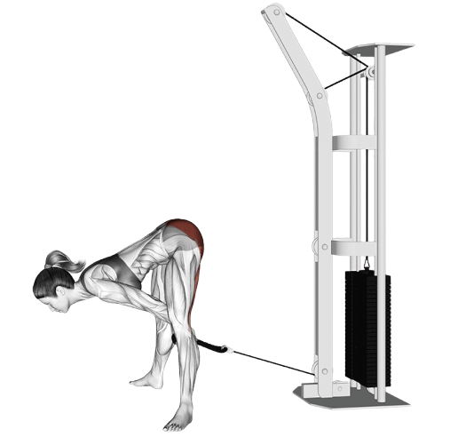 Pull through (Poulie)