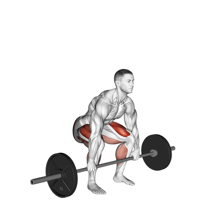 Soulevé de terre (Barre)