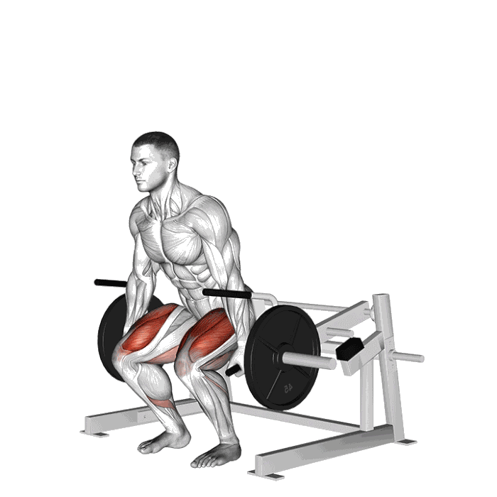 Animation Soulevé de terre (Machine)