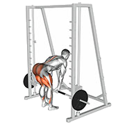Souleve de terre (Smith machine)