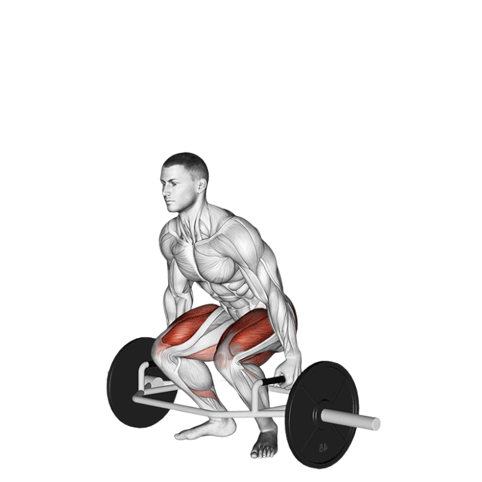 Soulevé de terre (Trap bar)