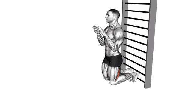 Animation Curl ischio-jambiers nordique