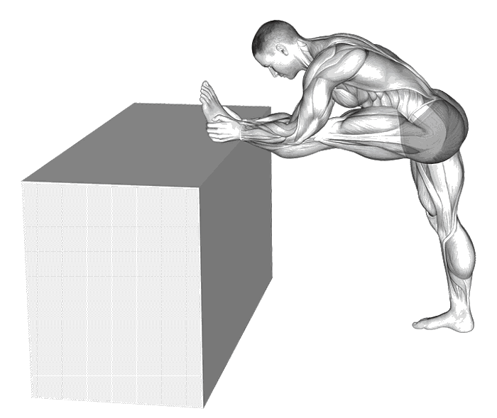 Animation Étirement jambe tendue surélevée