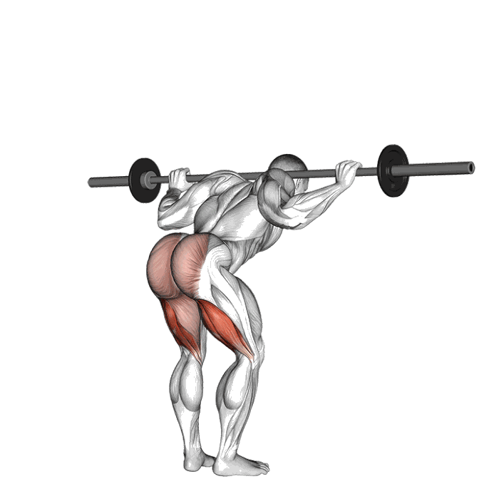 Animation Good Morning (Barre)