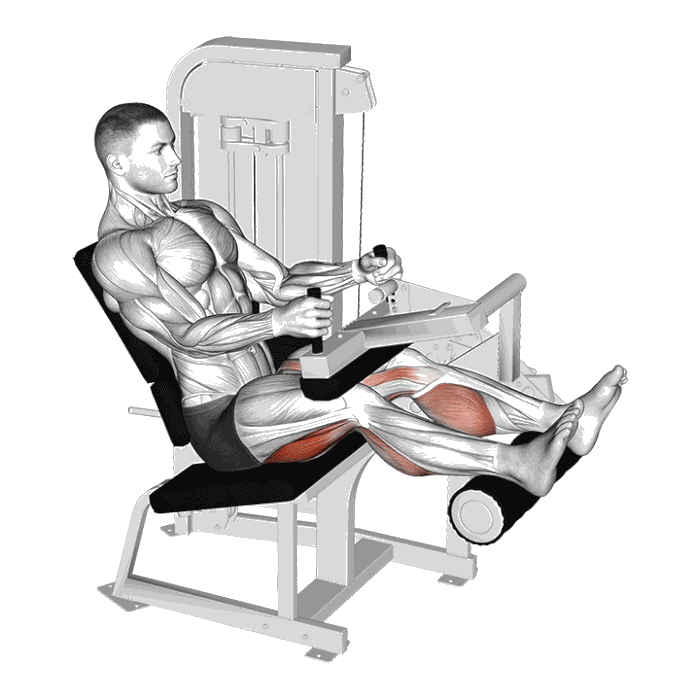 Animation Leg curl assis (Machine)