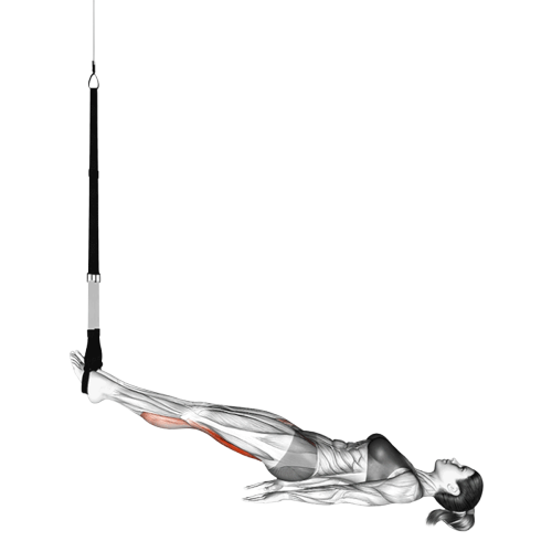 Leg curl avec sangles de suspension