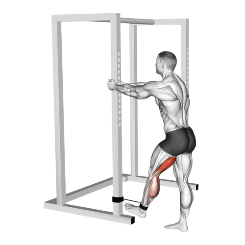 Leg curl (Élastique)