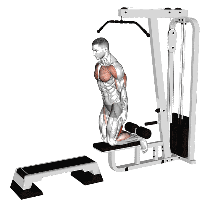 Animation Leg curl inversé sur le tirage vertical