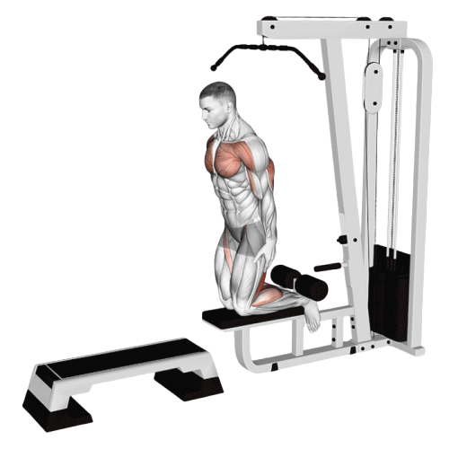 Leg curl inversé sur le tirage vertical